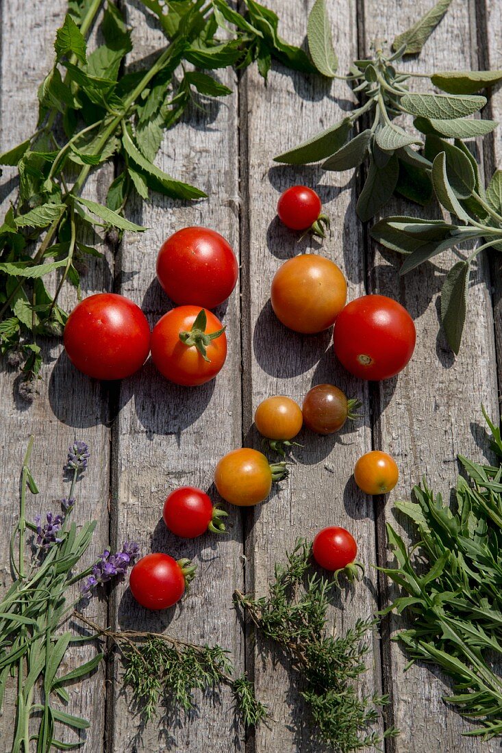 Verschiedene Tomaten und frische Kräuter auf Holzuntergrund (Draufsicht)
