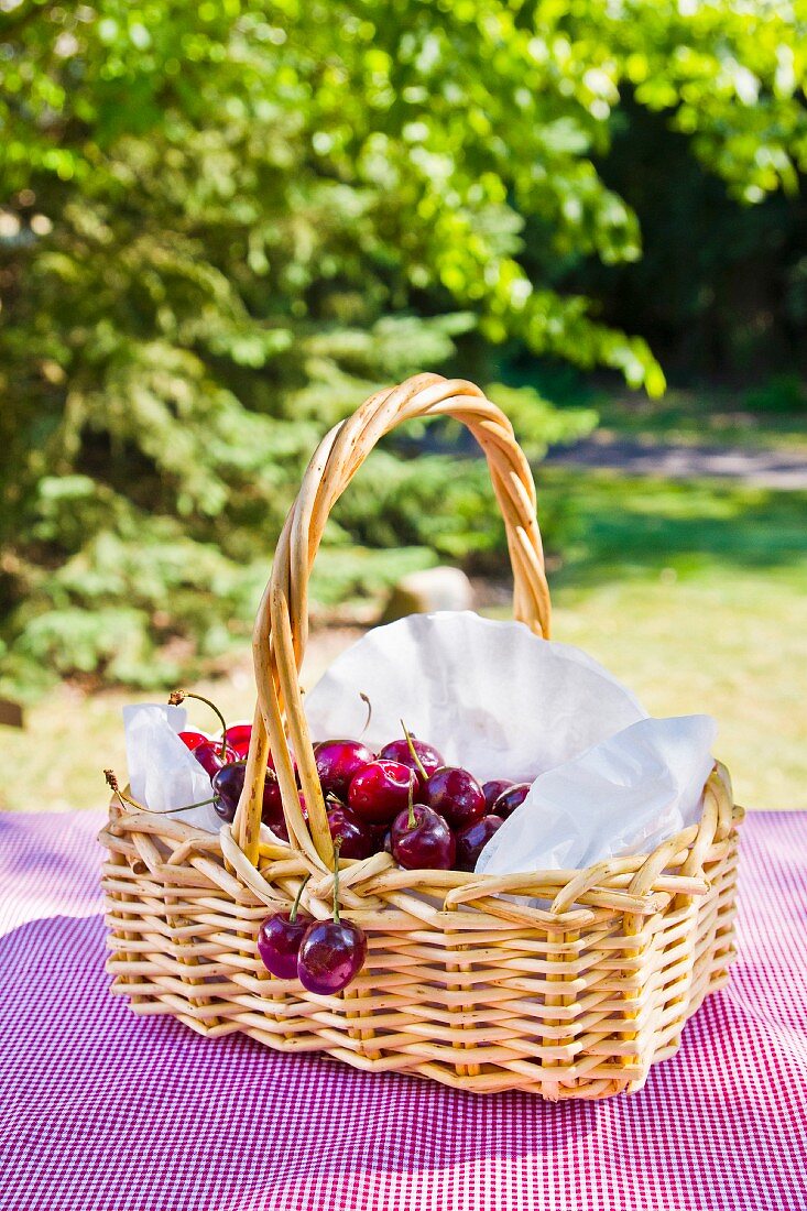 A basket of cherries on a red-and-white checked picnic blanket, surrounded by trees