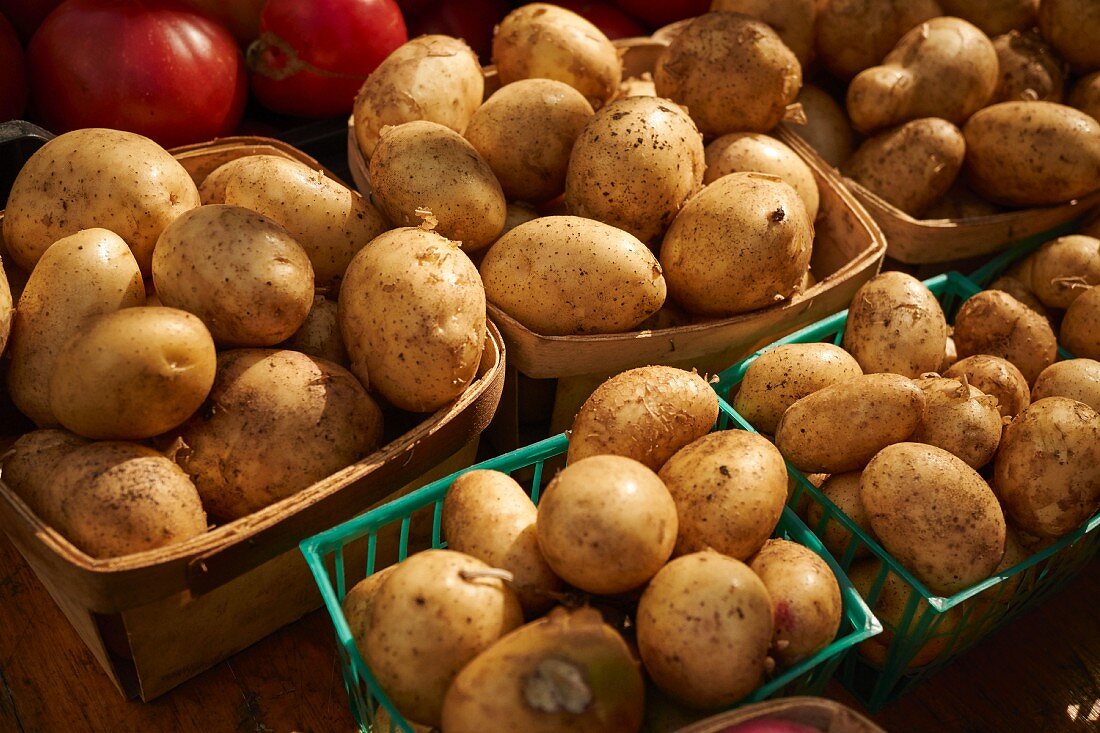 Körbe mit Kartoffeln auf dem Union Square Greenmarket, Manhattan, NYC, USA