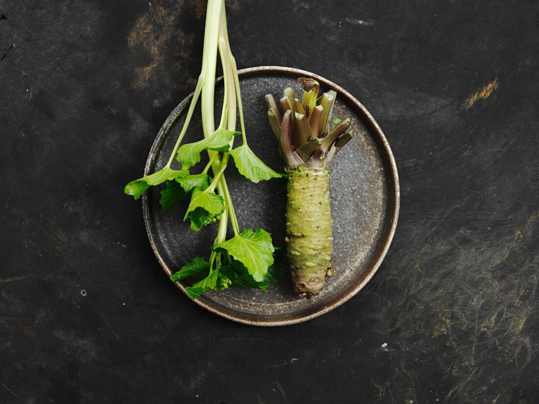 A fresh wasabi plant