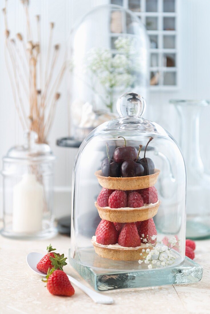 Various tartlets with summer fruits under a glass cloche