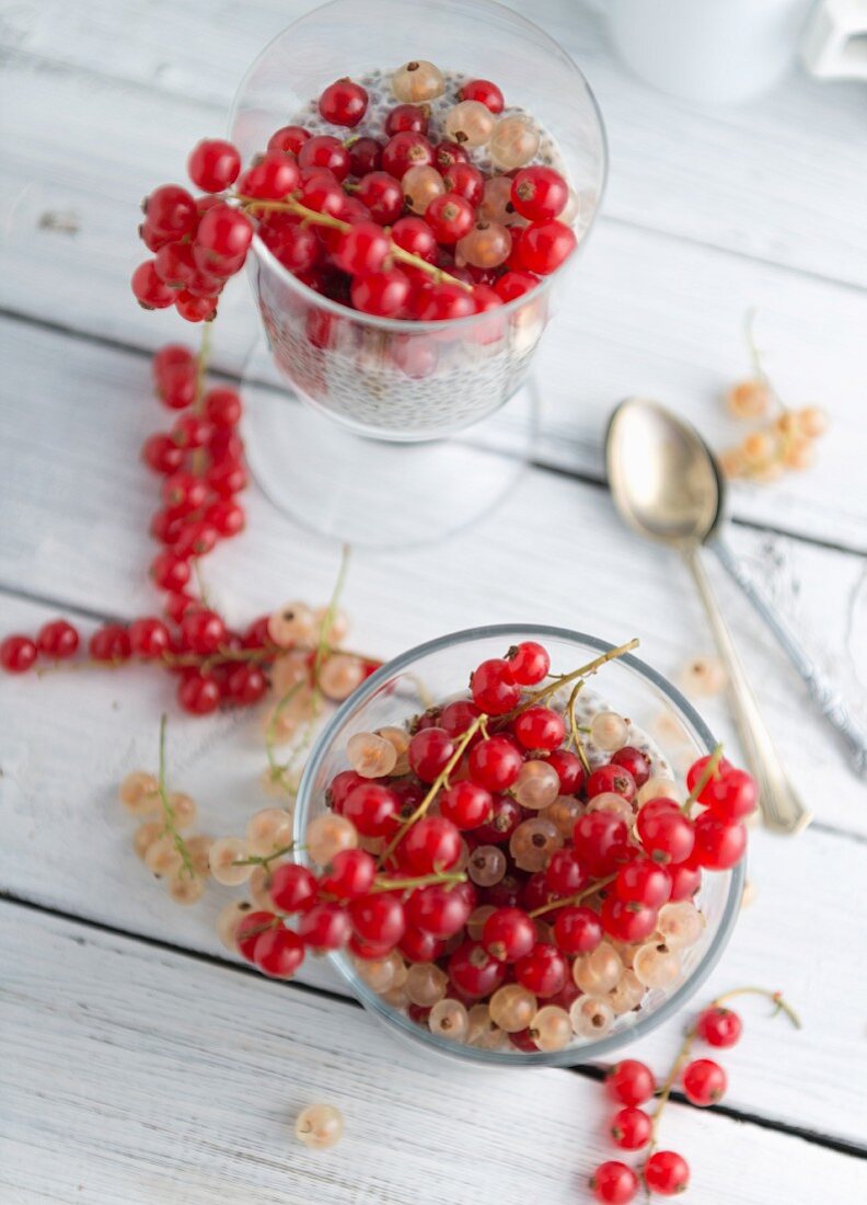 Chia pudding with redcurrants and whitecurrants (seen from above)