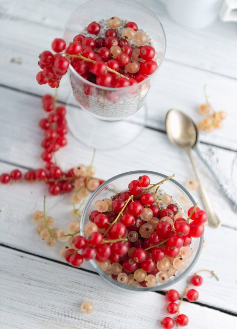 Chiapudding mit roten und weissen Johannisbeeren (Draufsicht)