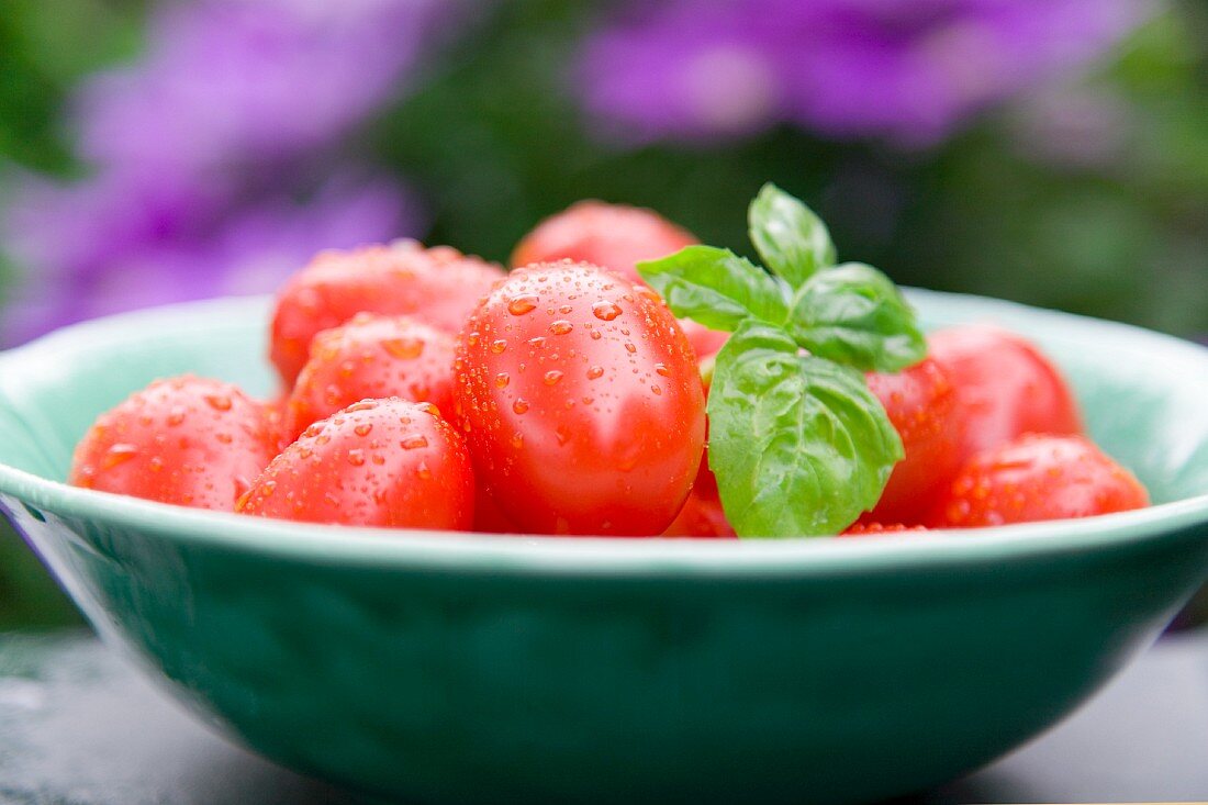 A bowl of fresh plum tomatoes