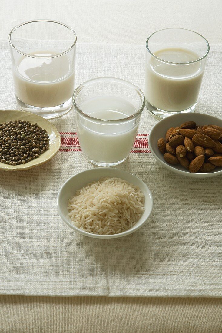 A glass of hemp milk, a glass of rice milk and a glass of almond milk with bowl of hemp, rice and almonds