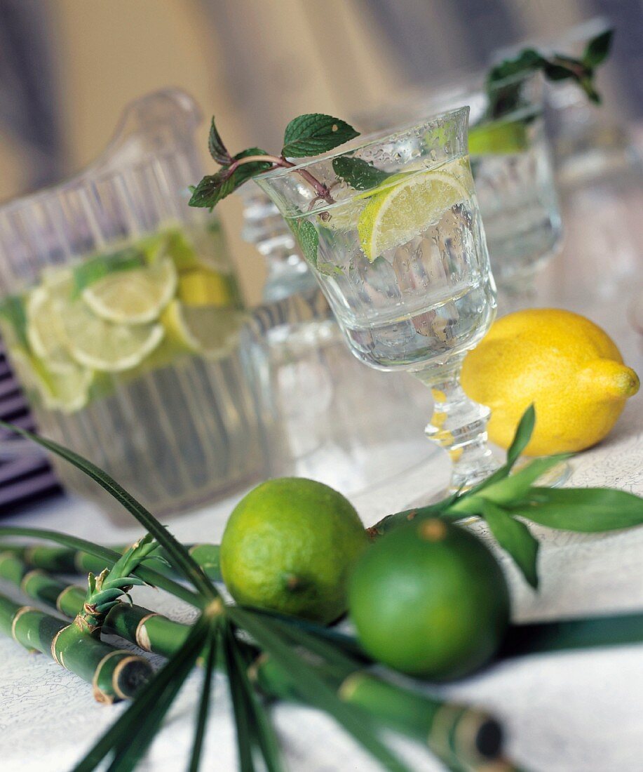 Glasses of mineral water with limes and peppermint