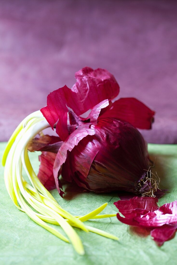 A sprouting red onion