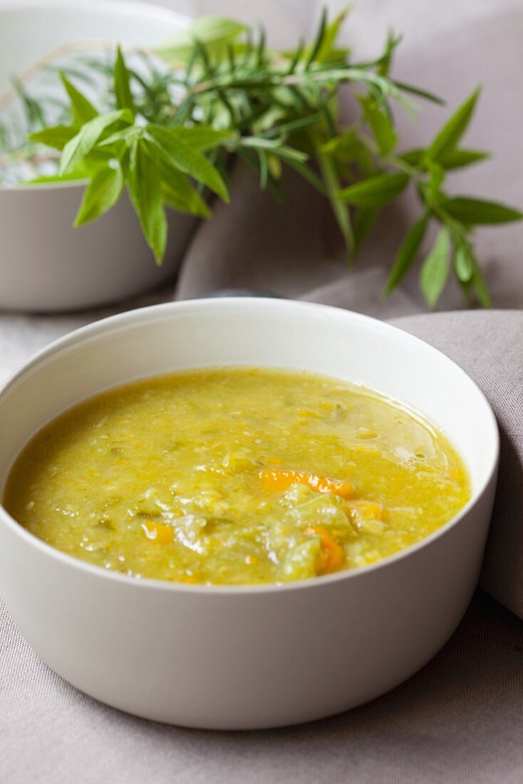 Vegetable soup and fresh herbs
