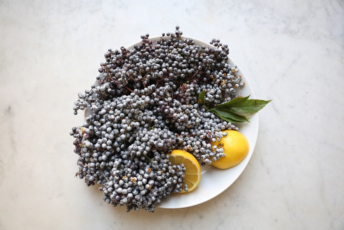 Holunderbeeren mit Zitronen in weisser Schüssel auf Marmor