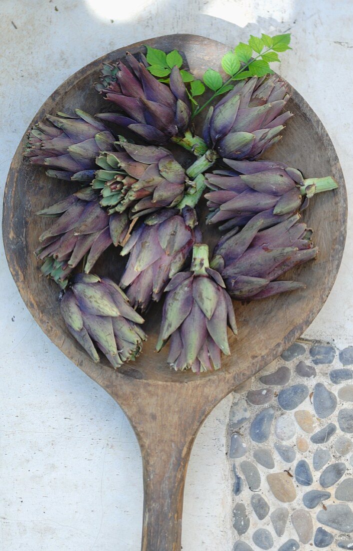 Purple artichokes in a wooden bowl