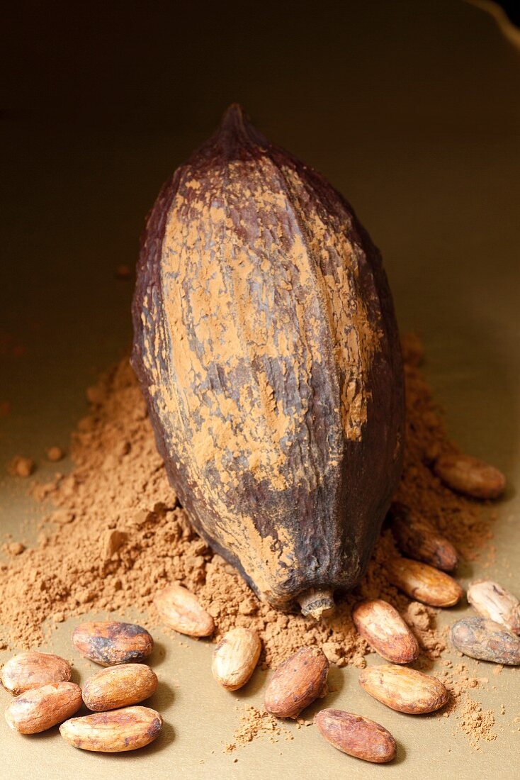 Kakaofrucht, Kakaobohnen und Kakaopulver