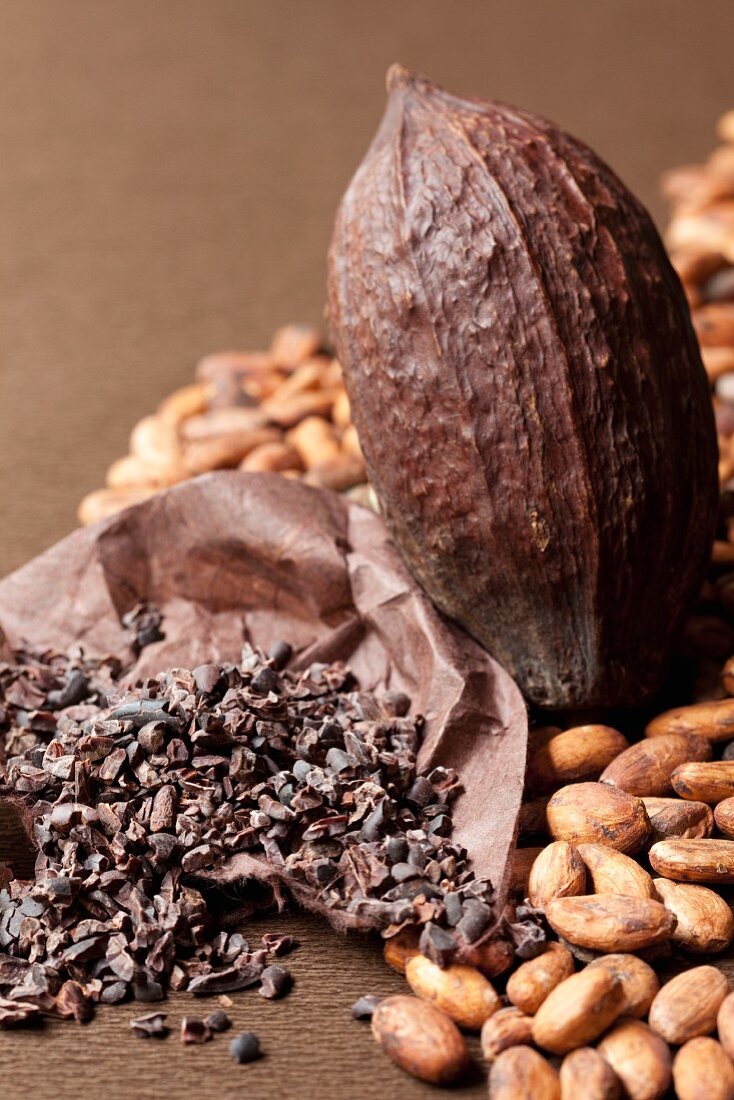 Kakaofrucht, Kakaobohnen und Kakaobohnenbruchstücke