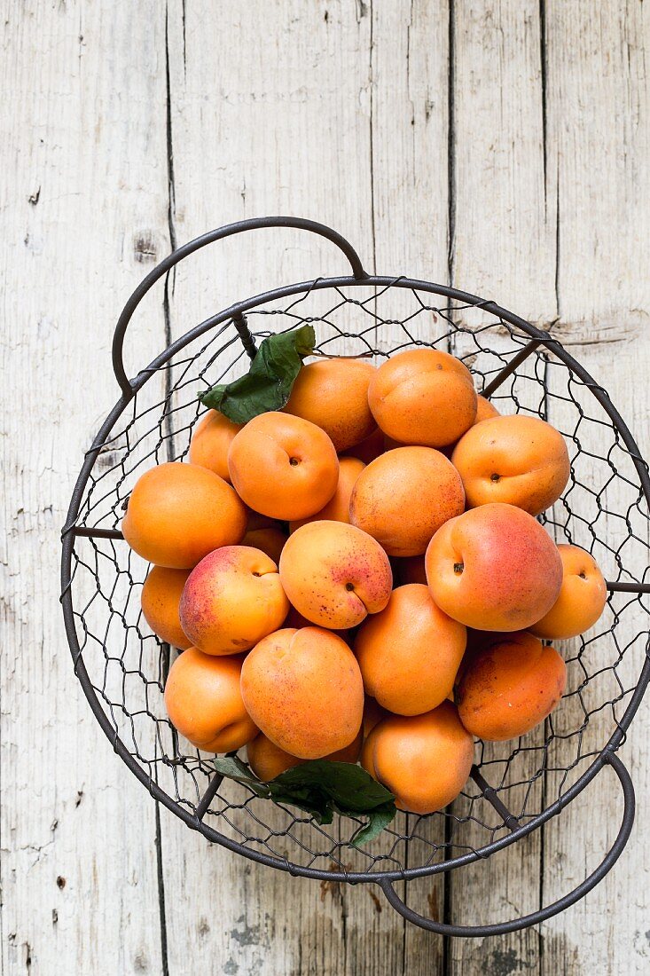 Fresh apricots in a wire basket