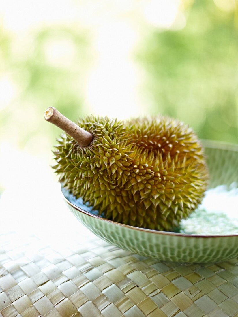 A durian in a bowl