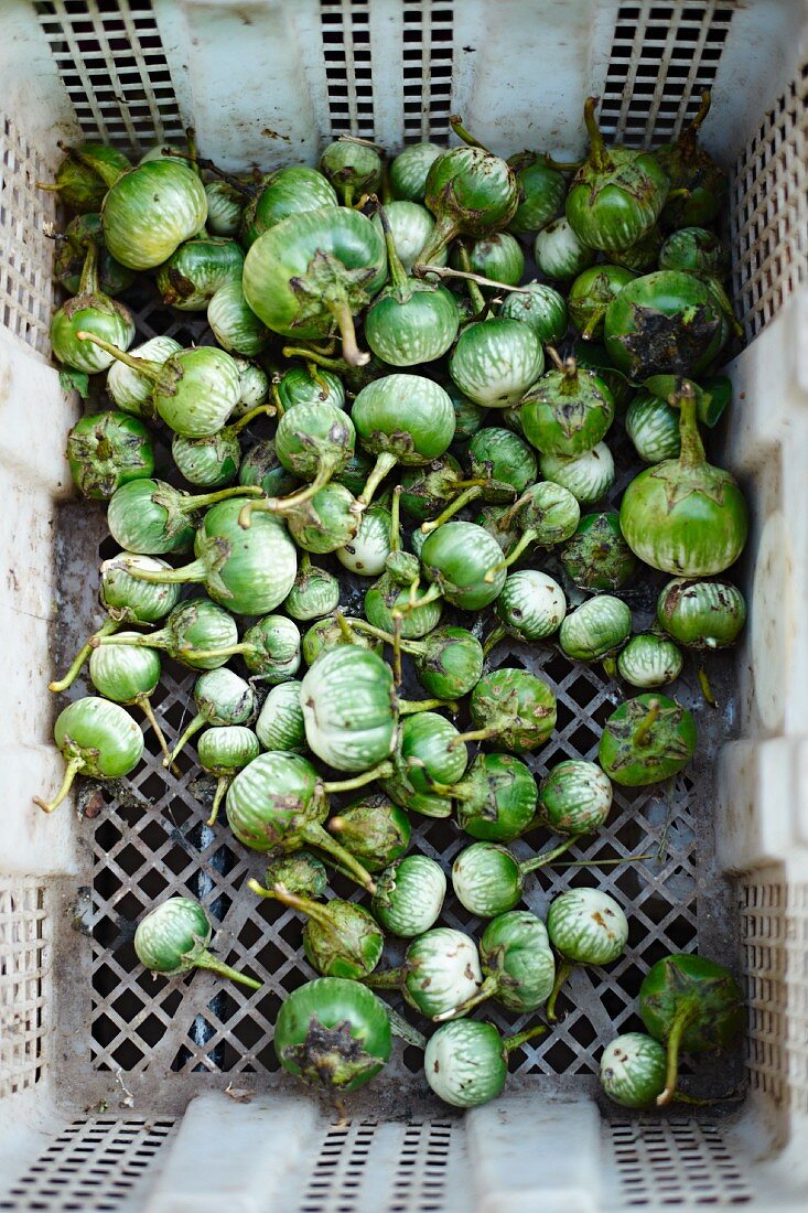 Green Thai aubergines in a crate at a market