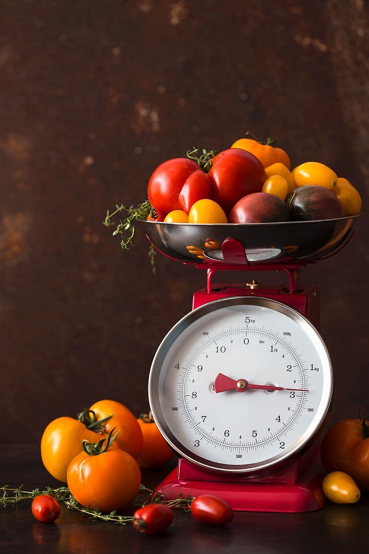 Various different coloured tomatoes on a pair of kitchen scales