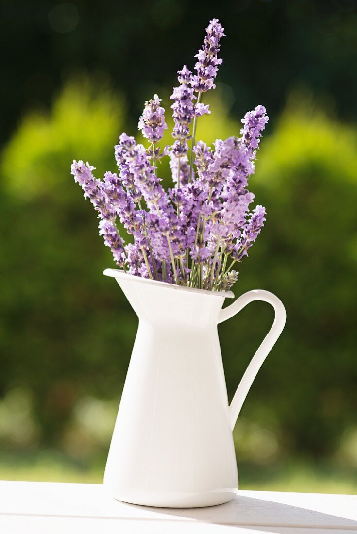 Lavendel im Krug auf Gartentisch