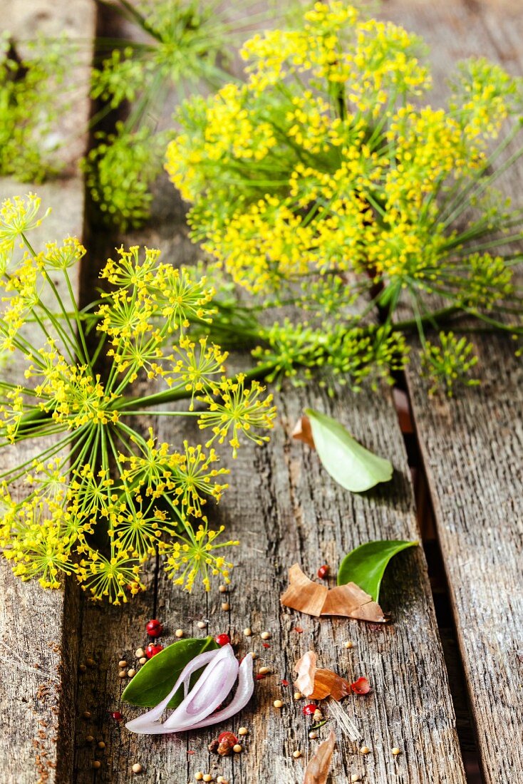 Dill flowers on a wooden surface