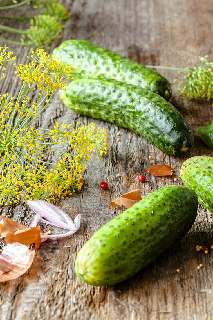 Pickling cucumbers and dill flowers on a wooden surface