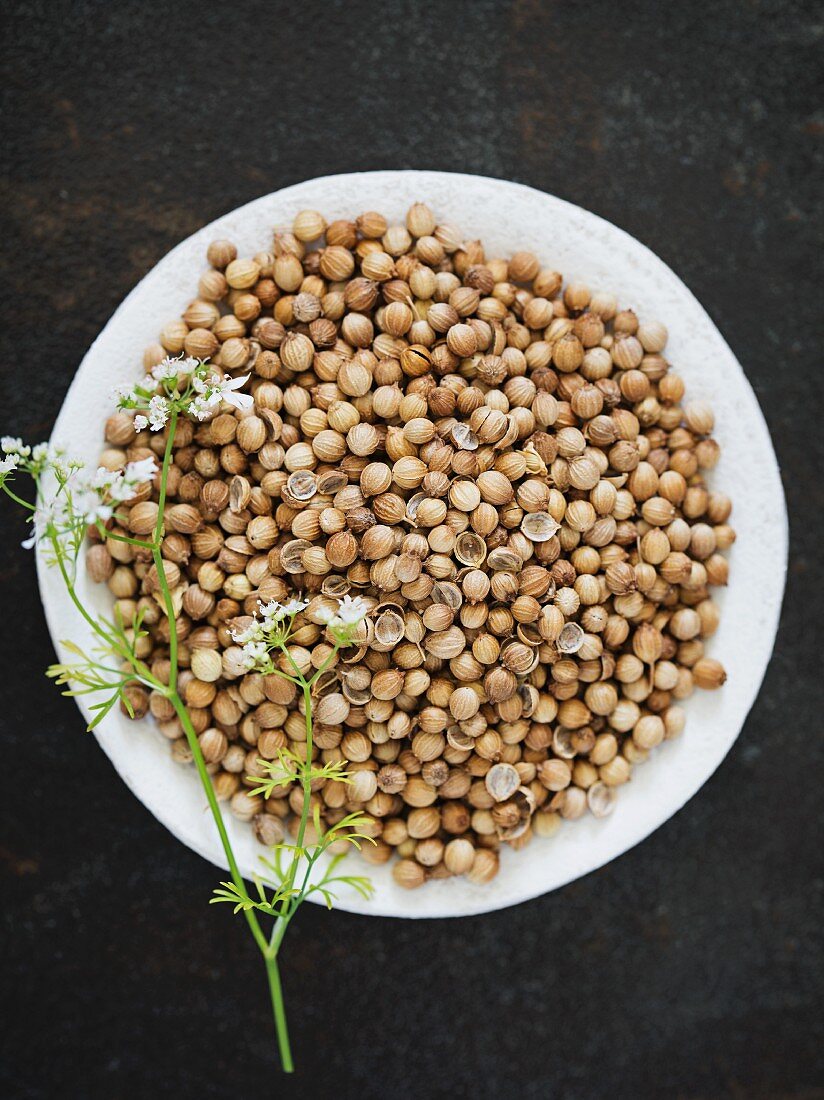 A plate of coriander seeds (seen from above)