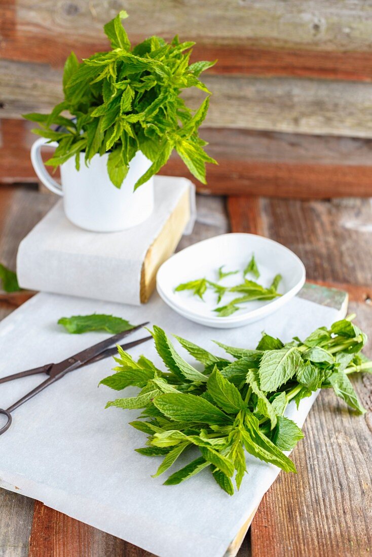 Fresh mint in a mug and on a piece of paper with leaves chopped off