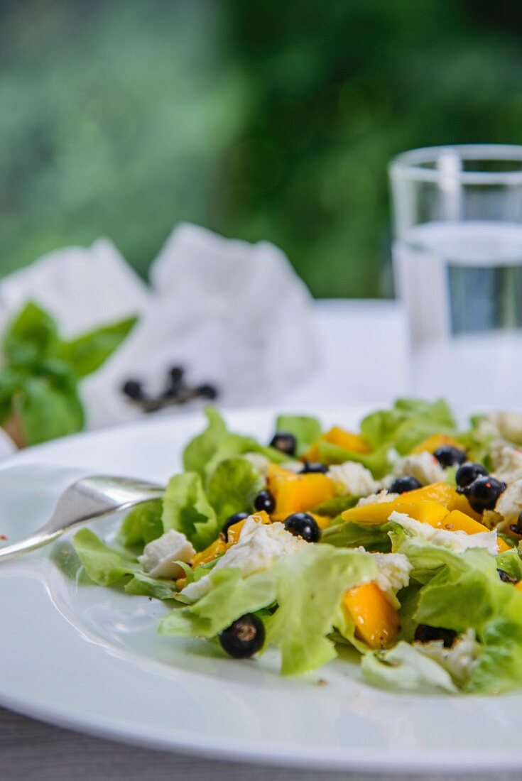 Eichblattsalat mit Mozzarella, Mango und schwarzen Johannisbeeren