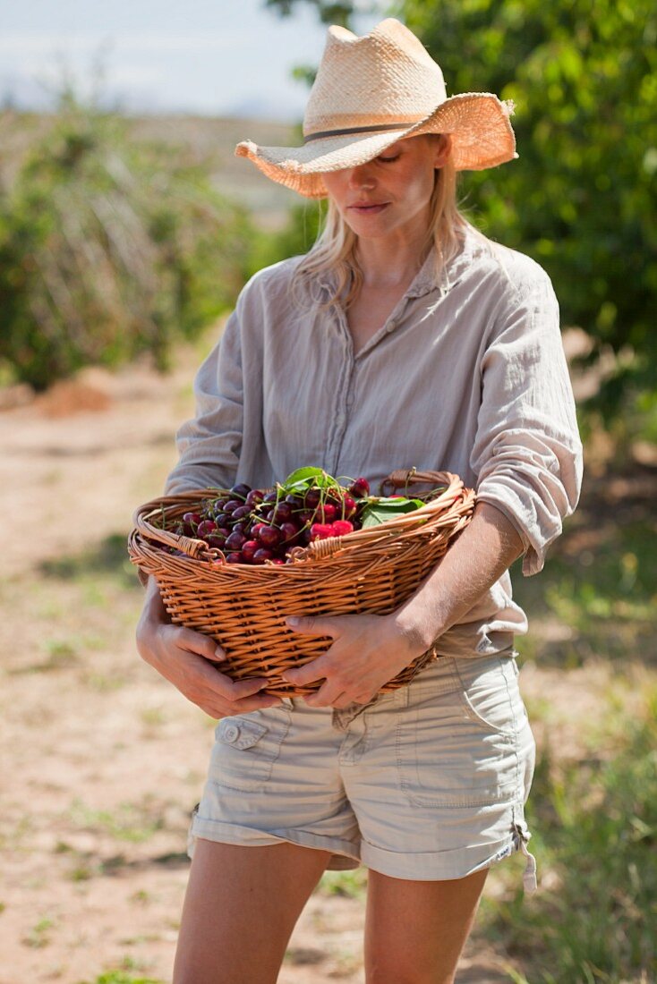 Frau trägt einen Korb voll Kirschen in einer Obstplantage