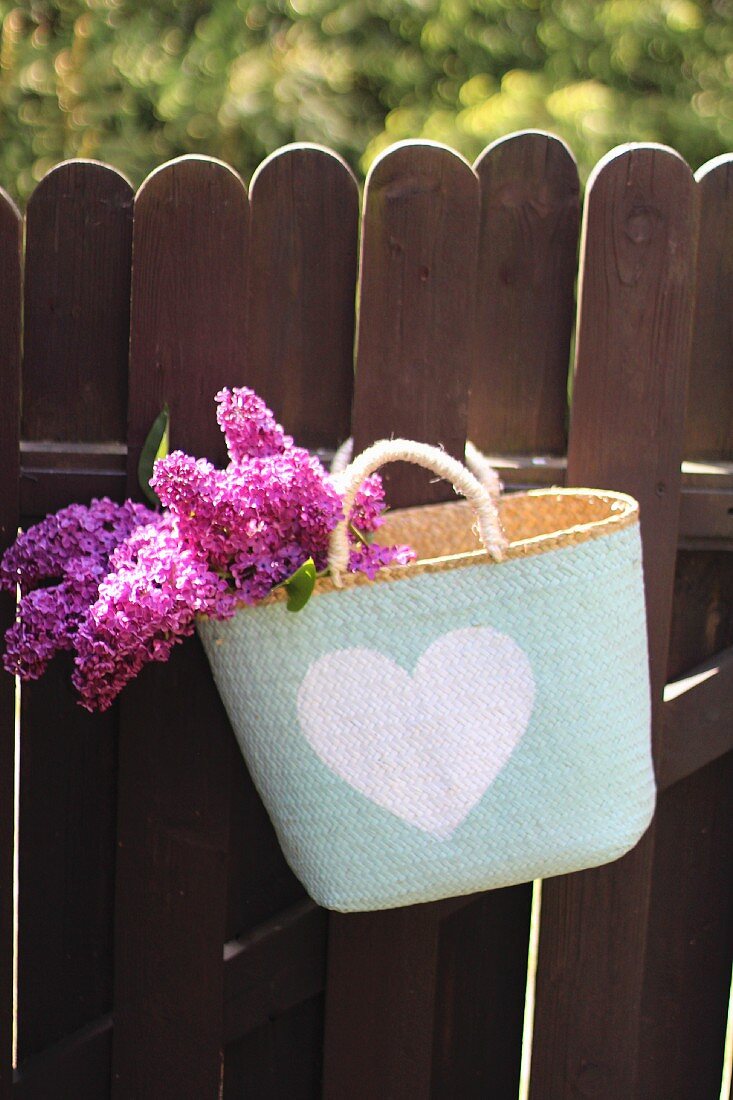 Lilac flowers in shopping basket hanging on wooden garden fence