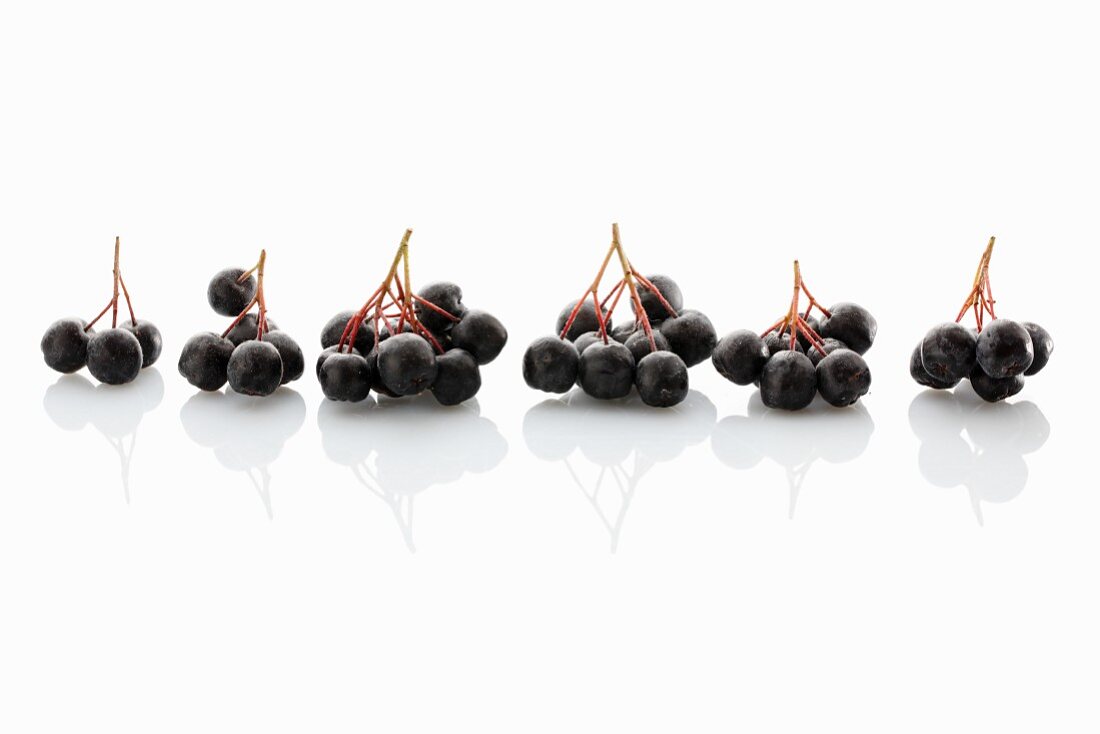 Fresh aronia berries on a white surface