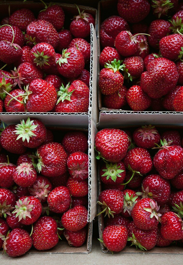 Strawberries in a cardboard container at a market