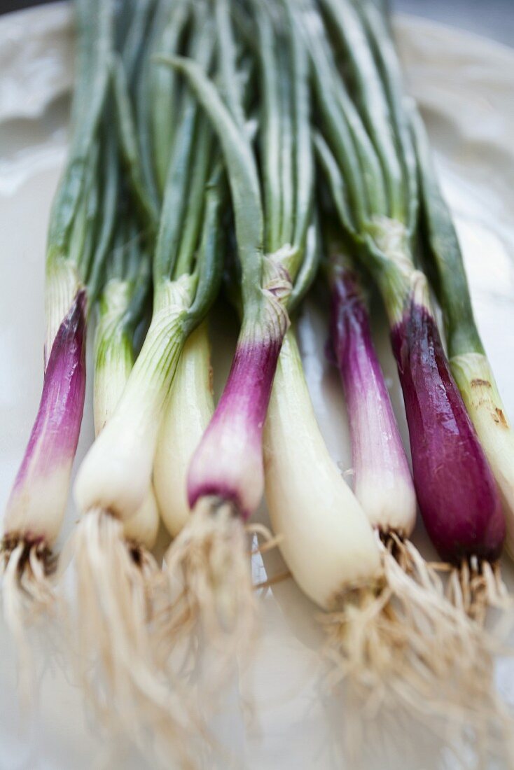 Purple and white spring onions on a white platter