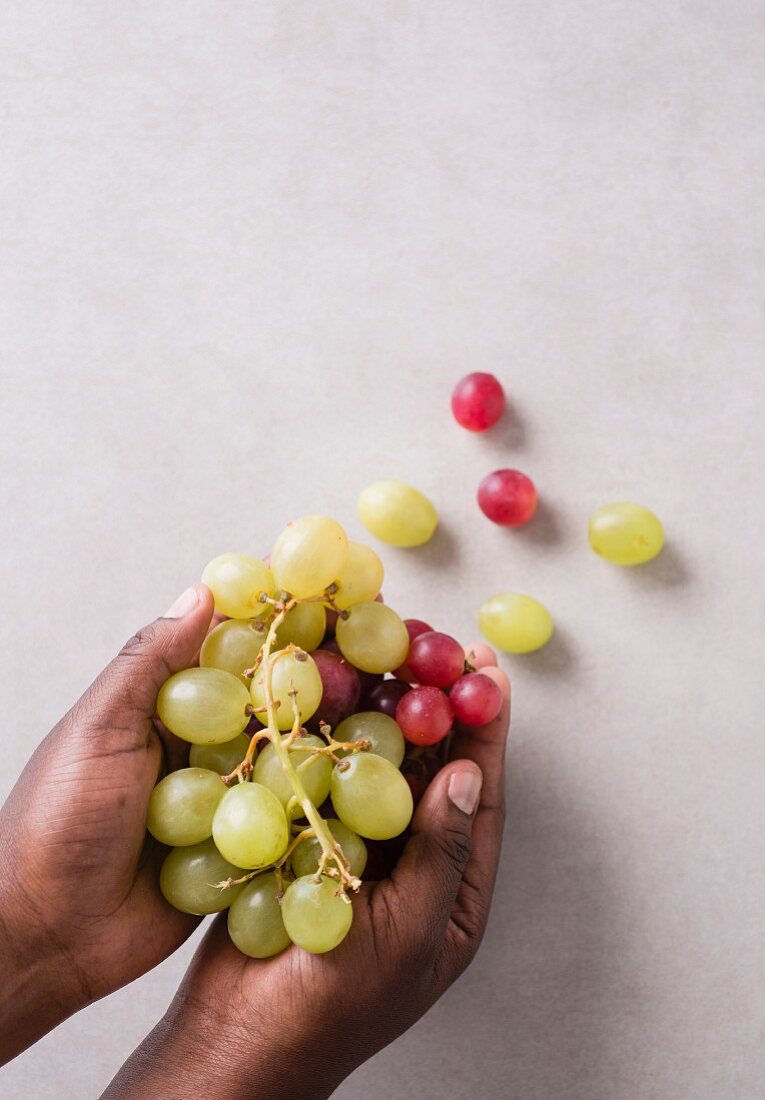 Hands holding red and green grapes