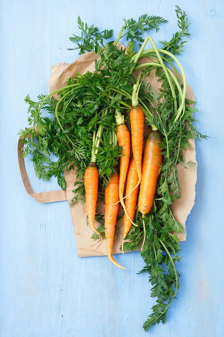 Young carrots on a piece of paper