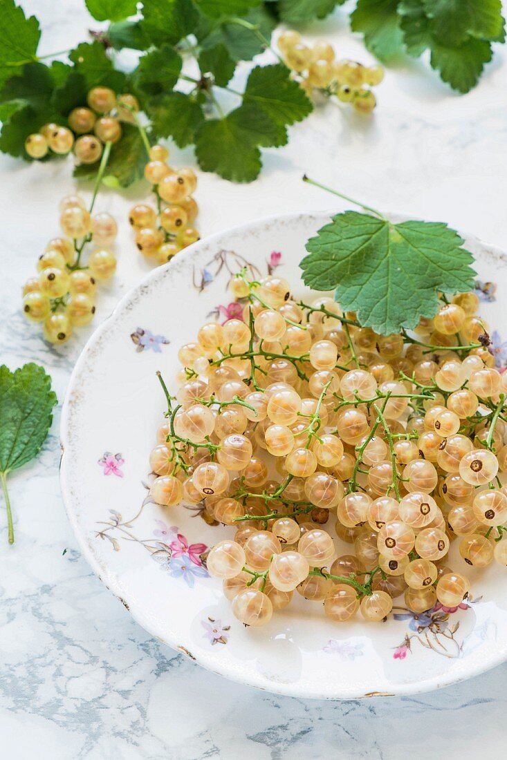 Whitecurrants on a plate