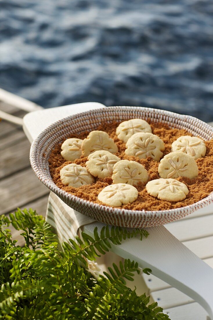 Sand Dollar Cookies (Traditionelles Rührteiggebäck, USA)