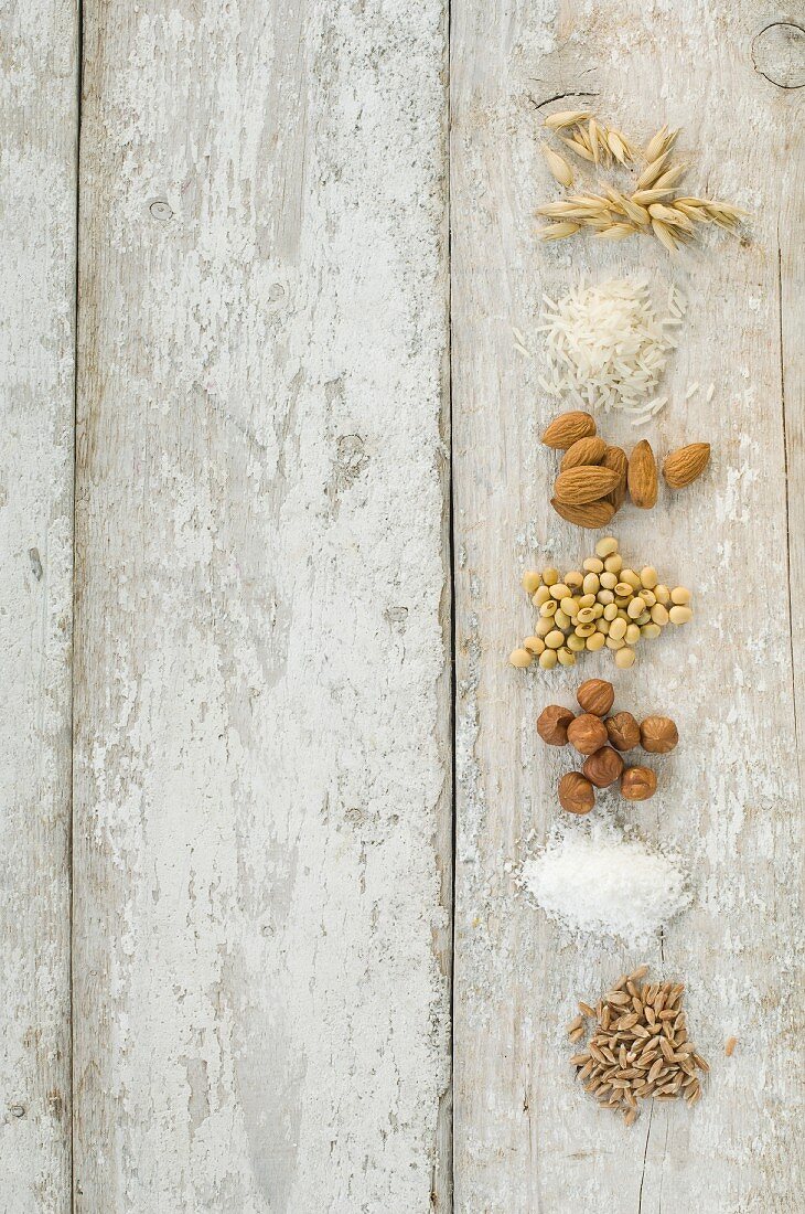 Getreide, Nüsse & Soja zur Zubereitung für laktosefreie Milch