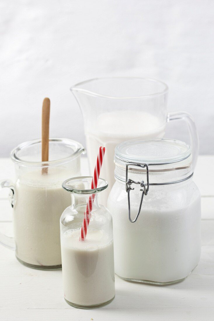 Various types of vegan milk
