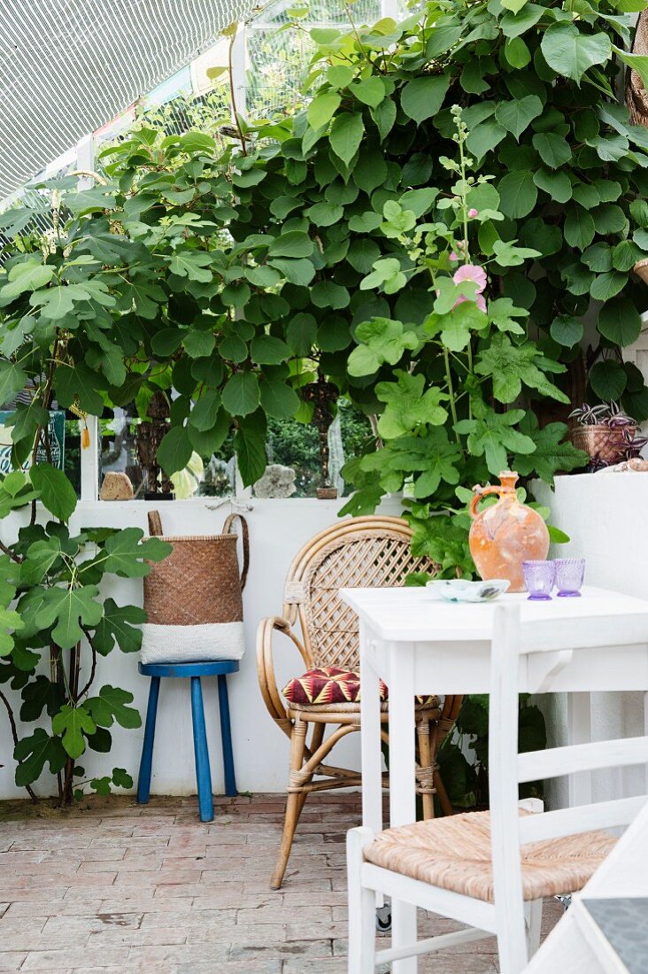 Seating area in front of white half-height wall in greenhouse