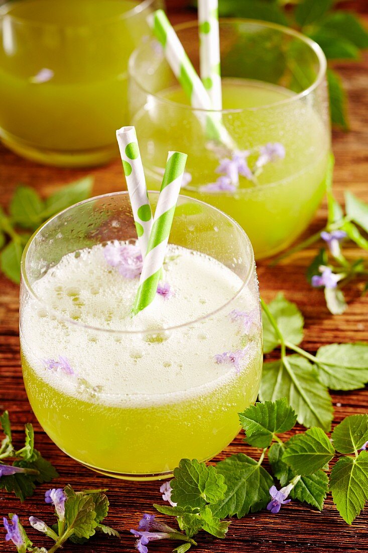 Herb lemonade with ground ivy