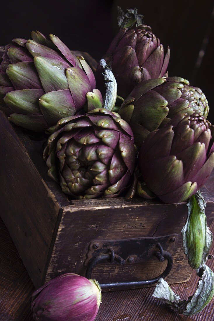 Raw artichokes in an antique wooden drawer