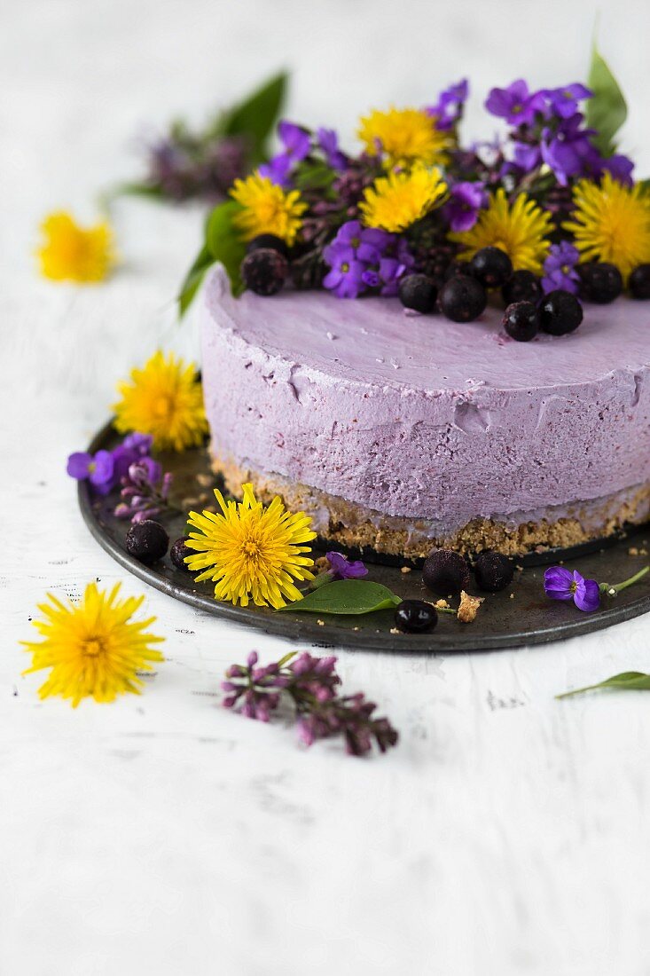 Heidelbeer-Käsekuchen mit Löwenzahnblüten und Veilchen