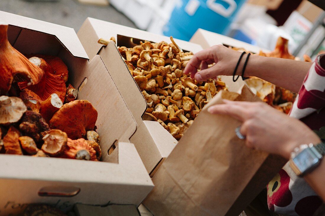 Frische Pilze in Steigen auf dem Markt