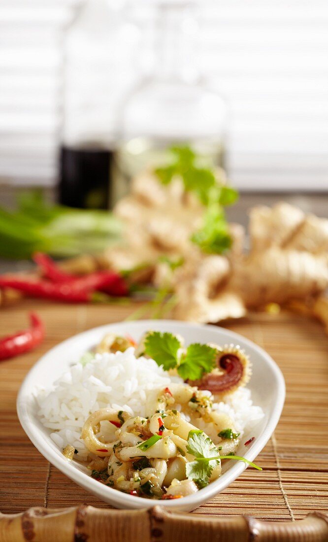Tintenfisch in scharfer Sauce mit Reis (Asien)