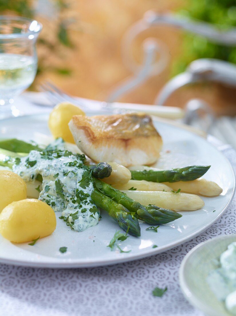 Spargel mit Kräuter-Joghurtsauce und Zander