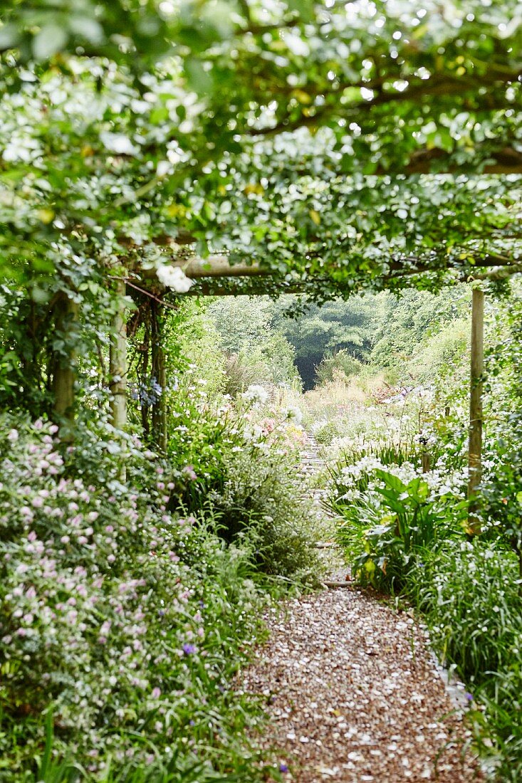 Gartenanlage mit berankter Holzpergola und eingewachsenem Kiesweg