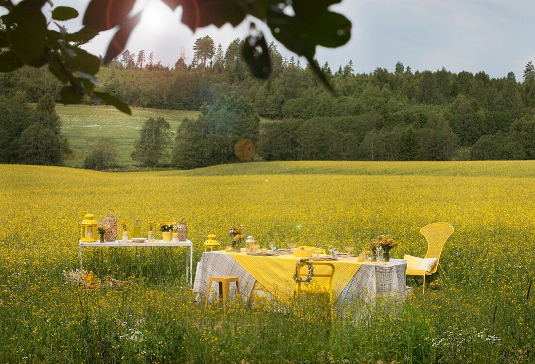 Gedeckte Tische in blühendem Rapsfeld