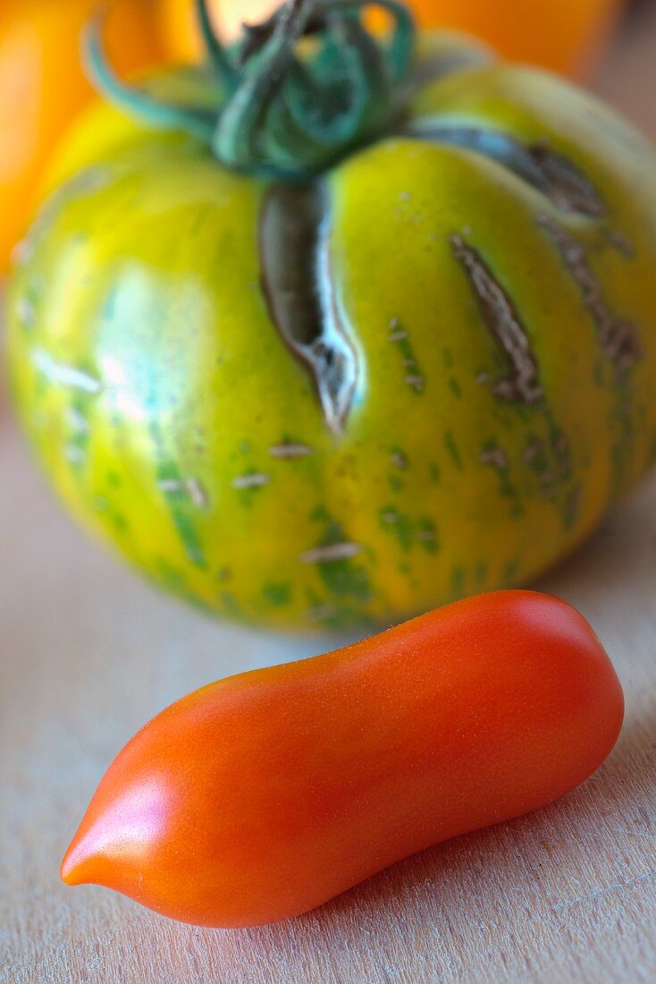 A wild tomato and green tomato