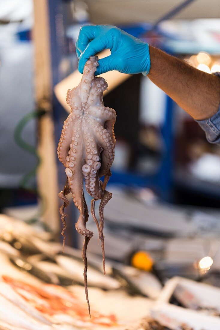 Hand hält frischen Oktopus auf dem Markt