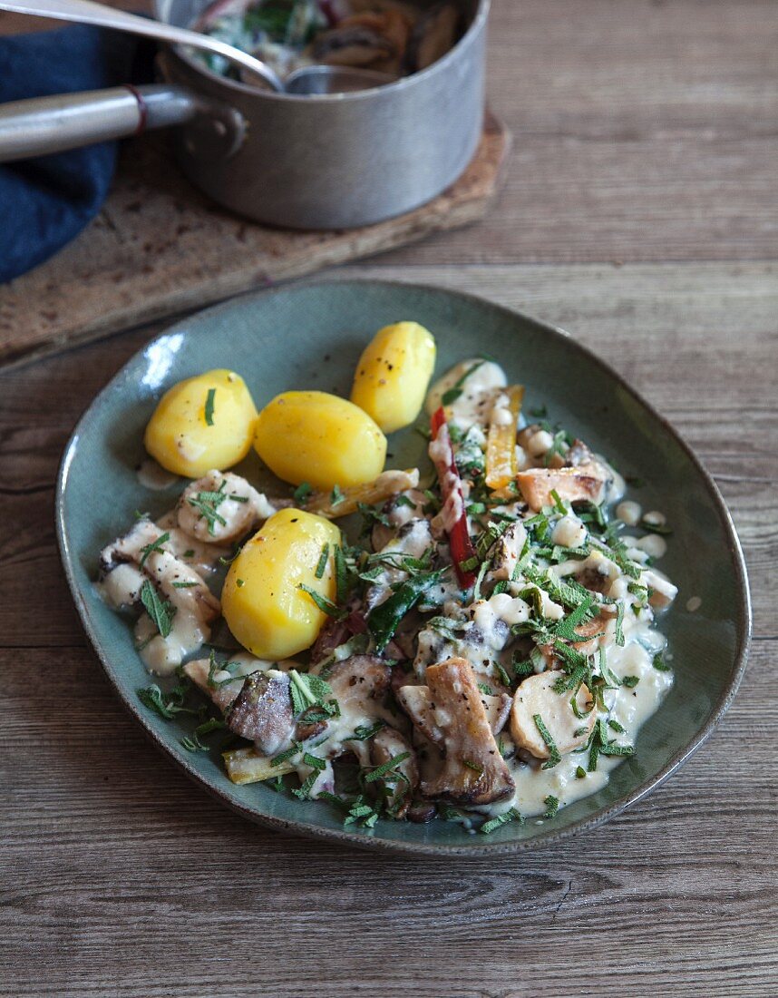 Mandelmus-Pilz-Ragout mit Mangold und Kartoffeln