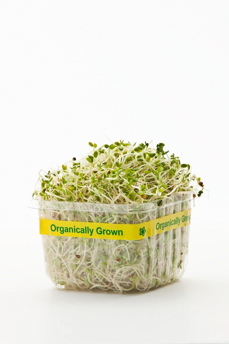 Fresh organic cress in a plastic punnet